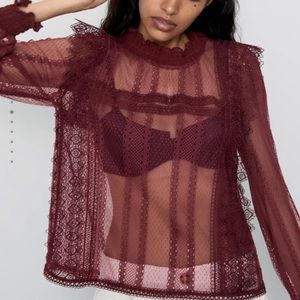 Zara Burgundy Lace Blouse